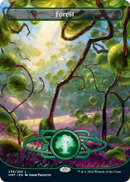 Forest (239) (Borderless) - Unfinity (UNF) NM *FOIL*