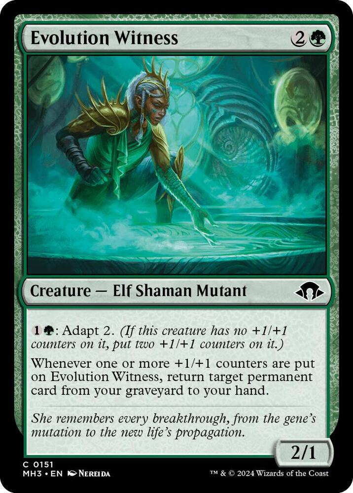 Evolution Witness - Modern Horizons 3 (MH3) NM *FOIL*