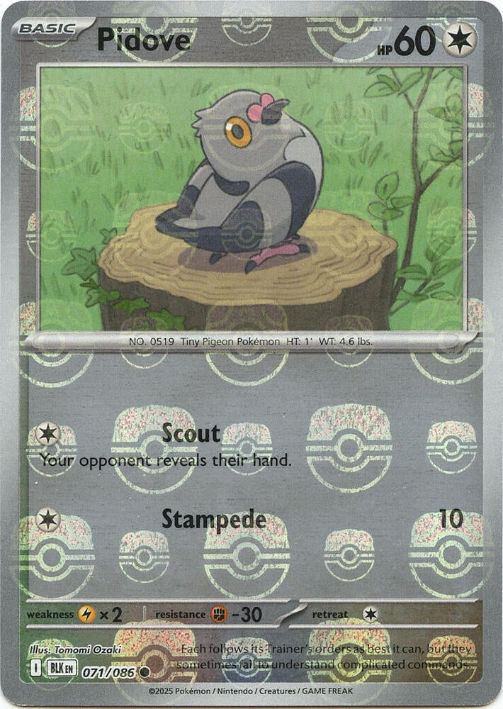 Pidove (Master Ball Pattern) - SV: Black Bolt (BLK) NM