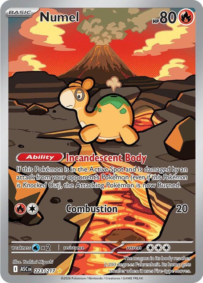 Numel - 223/217 - ME: Ascended Heroes (ASC) NM *FOIL*
