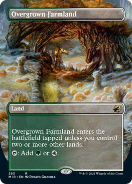 Overgrown Farmland (Borderless) - Innistrad: Midnight Hunt (MID) NM *FOIL*