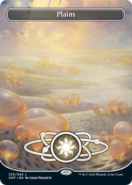 Plains (235) (Borderless) - Unfinity (UNF) NM