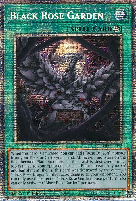 Black Rose Garden (Starlight Rare) - Doom of Dimensions (DOOD) NM